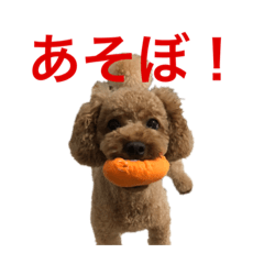 [LINEスタンプ] といぷーのあちゃん