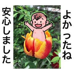 [LINEスタンプ] 気持ちをつたえよう！可愛い丁寧な言葉かけ