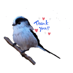 [LINEスタンプ] 野鳥エナガスタンプその1