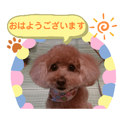 [LINEスタンプ] もこさんの日常。の画像（メイン）