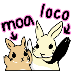 [LINEスタンプ] うさぎの もあ＆ろこ(日常ver.)