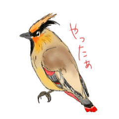 [LINEスタンプ] 野鳥と一緒 その2