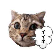 [LINEスタンプ] ミモザさんスタンプショップ6