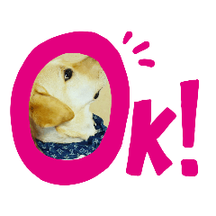 [LINEスタンプ] ジュラジュラジュララ