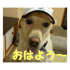 [LINEスタンプ] ジュラリズム