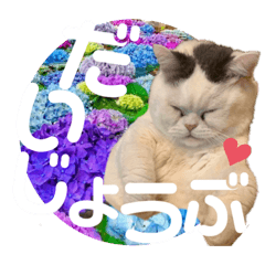 [LINEスタンプ] コロン＆トト