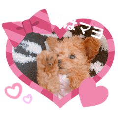 [LINEスタンプ] マヨちゃんだよ②