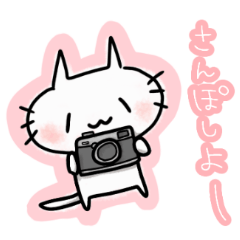 [LINEスタンプ] カメラねこの日常