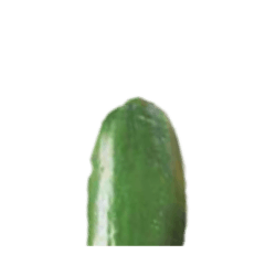 [LINEスタンプ] 伸びるきゅうり