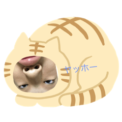 [LINEスタンプ] 何を可愛い