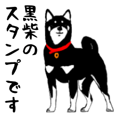 [LINEスタンプ] 黒柴のカル #01