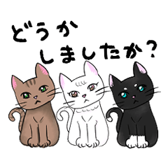 3匹の猫 敬語スタンプ