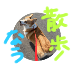 [LINEスタンプ] コーギーももさん