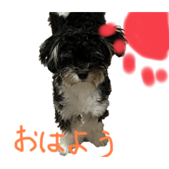 [LINEスタンプ] ソラ第2弾(日常生活)