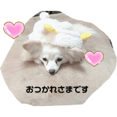 [LINEスタンプ] クーと一緒