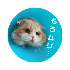 [LINEスタンプ] ぬけさくの日常 4