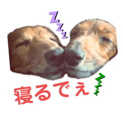 [LINEスタンプ] ぱちまま一家