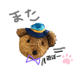 [LINEスタンプ] 熊のクーたんスタンプ
