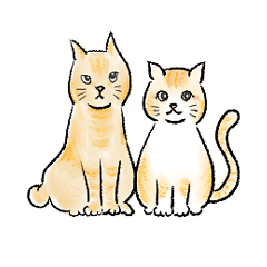 [LINEスタンプ] ネコとの生活あるある