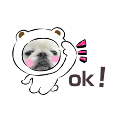 [LINEスタンプ] ゆきまると申します。