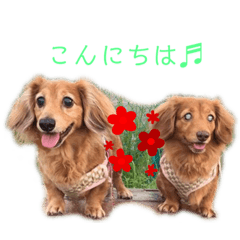 [LINEスタンプ] ちょこ＆みるく