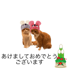 [LINEスタンプ] うにじる にゃんこ 十二支