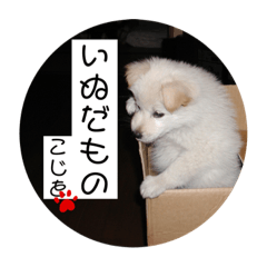 [LINEスタンプ] 小次郎スタンプ2