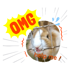 [LINEスタンプ] マロン（うさぎ）のスタンプ②
