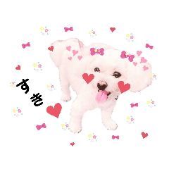 [LINEスタンプ] しろいふわふわんわん2