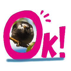 [LINEスタンプ] Riki243s #4
