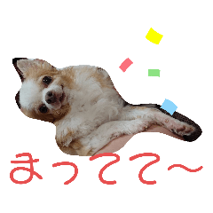 [LINEスタンプ] 武居familiar6