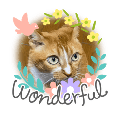 [LINEスタンプ] わたしのスタンプ作成中