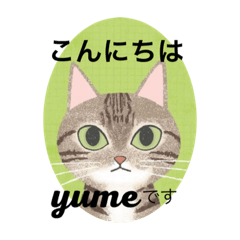 [LINEスタンプ] 可愛い夢の日常