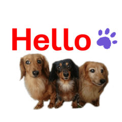 [LINEスタンプ] きょんママ一家