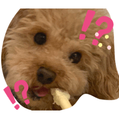 [LINEスタンプ] oyadog