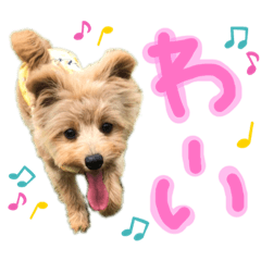 [LINEスタンプ] おんぷさんスタンプ
