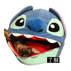 [LINEスタンプ] ayuyuyua