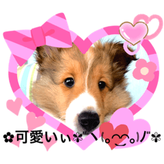 [LINEスタンプ] パピシェル⑧王子kun【気持ち編】vol.2