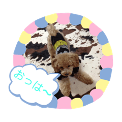 [LINEスタンプ] すきすきわんちゃん
