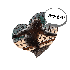 [LINEスタンプ] モンキートーク