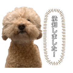 [LINEスタンプ] ティナのきもち。3