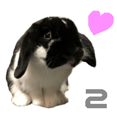 [LINEスタンプ] たれ耳うさぎ うにちゃん2