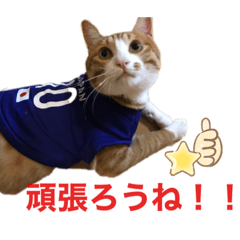 [LINEスタンプ] つなたら1