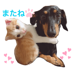 [LINEスタンプ] くるみとめんま