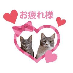 [LINEスタンプ] くっちゃねシティのスタンプ