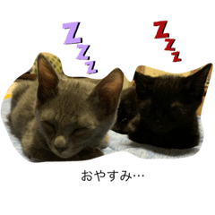 [LINEスタンプ] グレーと黒のルナロペスタンプ