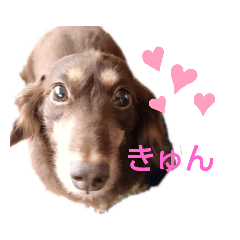 [LINEスタンプ] みお生活
