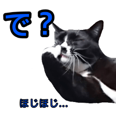 [LINEスタンプ] 健ちゃんとマイちゃん 会話編