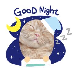 [LINEスタンプ] めいからの一言