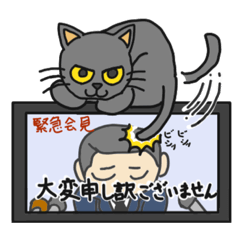 [LINEスタンプ] クロネコ日和